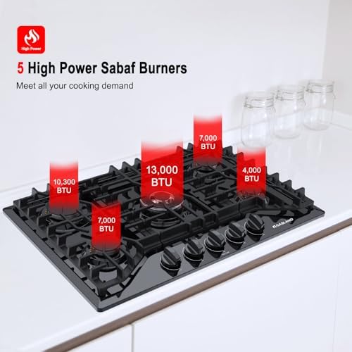 GASLAND 5-Burner Plug-In Cast Iron Grill NO gas needed
