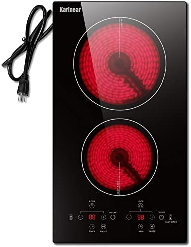 Two Burner Plug-In Electric Cooktop