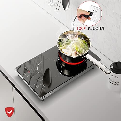 2-Burner Plug-In Electric Cooktop