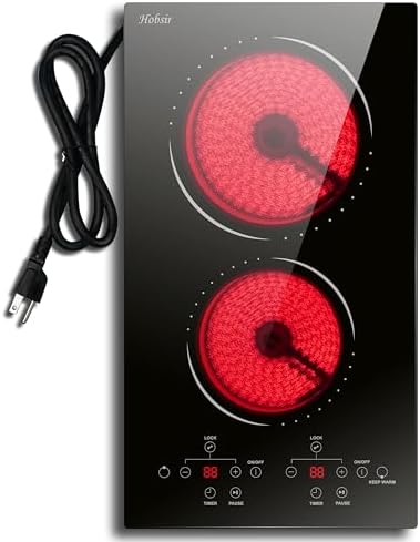 2-Burner Plug-In Electric Cooktop