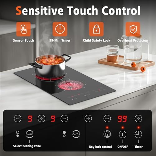 Disaenvir 12-inch electric cooktop 2-burner compact dual zones 2000W 110V