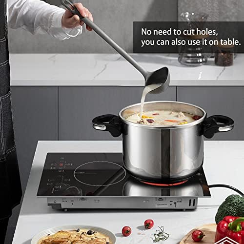 Two Burner Plug-In Electric Cooktop