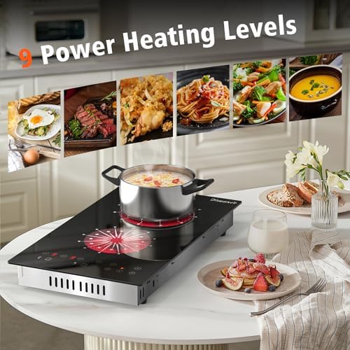 Disaenvir 12-inch electric cooktop 2-burner compact dual zones 2000W 110V