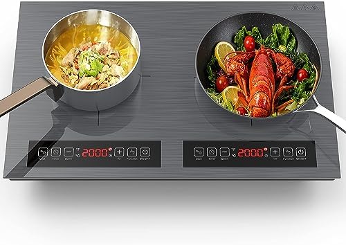 Reliable 110V Induction Cooktop
