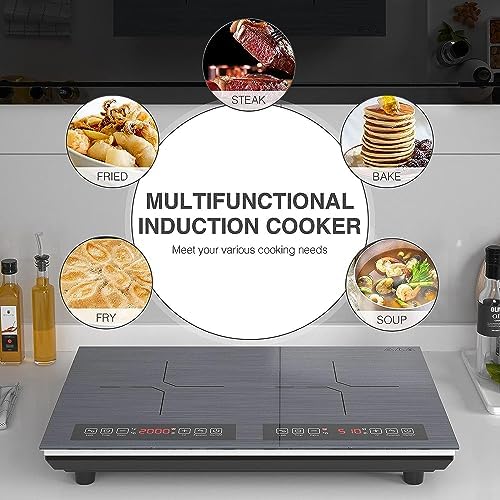Reliable 110V Induction Cooktop
