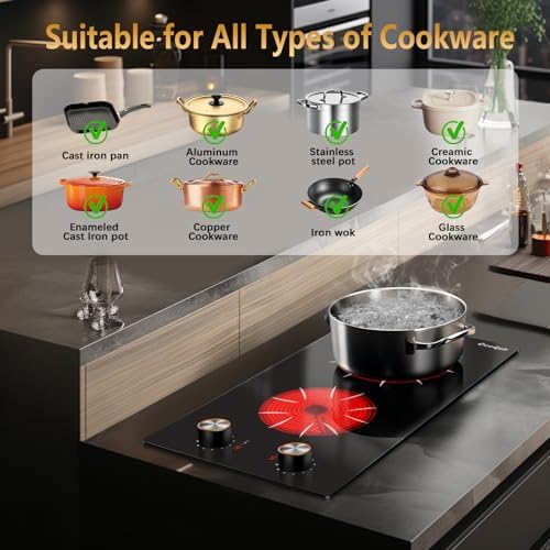 Compact Powerful 2-Burner Electric Cooktop for Home Camping