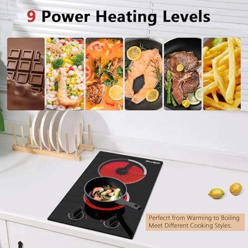 110V Professional 2-Burner Electric Cooktop - Durable Efficient