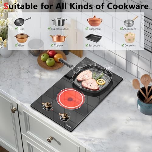 2-Burner Electric Cooktop - 3000W Cooking Power - 9 Power Levels
