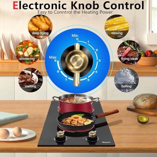 2-Burner Electric Cooktop - 3000W Cooking Power - 9 Power Levels