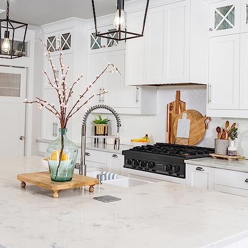 ZLINE Legacy 36-in Gas Range Italian Brass 6 Burners Black Stainless Steel
