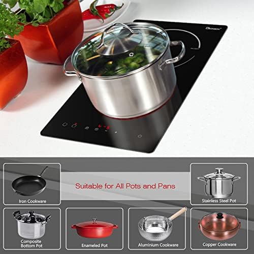 12-inch Electric Cooktop GIONIEN 3000W Touch-Controllable Effortless Cooking