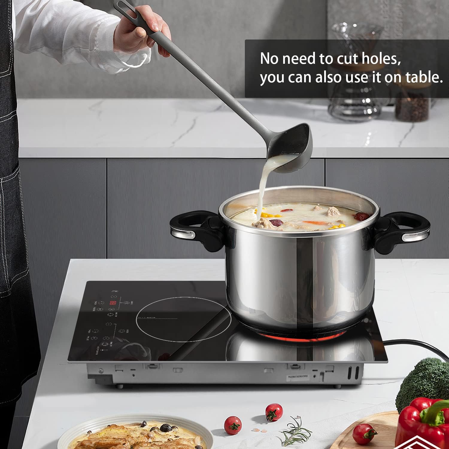 Two Burner Plug-In Electric Cooktop