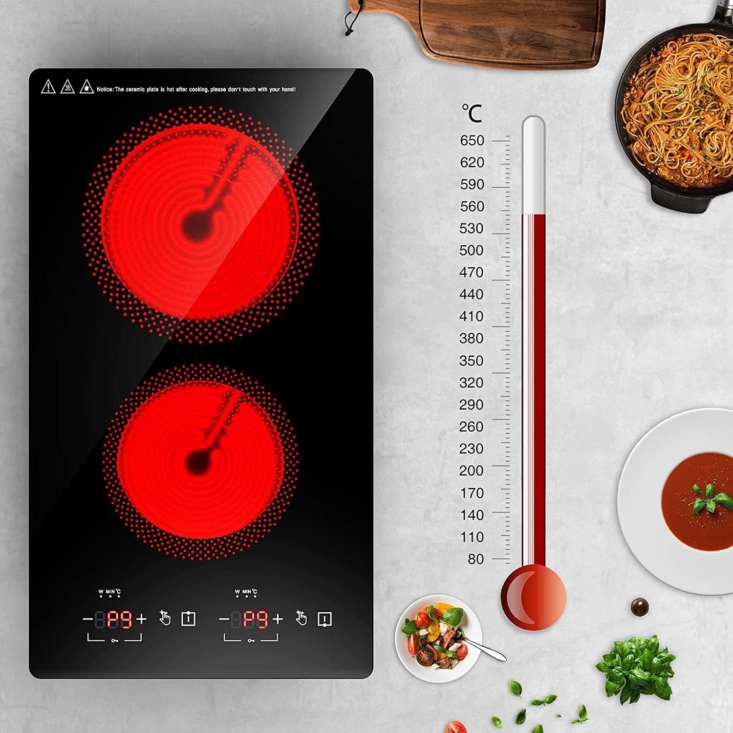 Dual 110V Electric Cooktop 2-Burner 12-inch 20 Temperature Settings